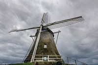 The mill