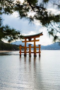 Itsukushima-schrijn von Schram Fotografie