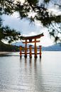 Itsukushima-schrijn von Schram Fotografie Miniaturansicht