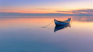 Fischerboot auf der Lagune, Portugal (3)