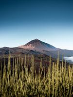 El Teide Vulkaan van Tenerife Eiland