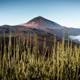 El Teide Vulkaan van Tenerife Eiland van Visuals by Justin