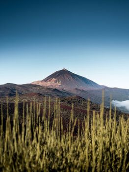 Volcan El Teide de l'île de Ténériffe