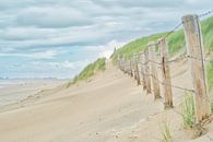 Der Strand, Zandvoort von WeVaFotografie Miniaturansicht