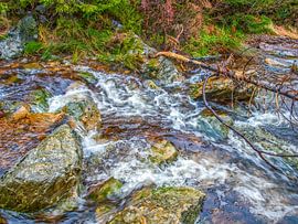 The Naturalness Of Nature With Flowing River by Nature Life Ambience
