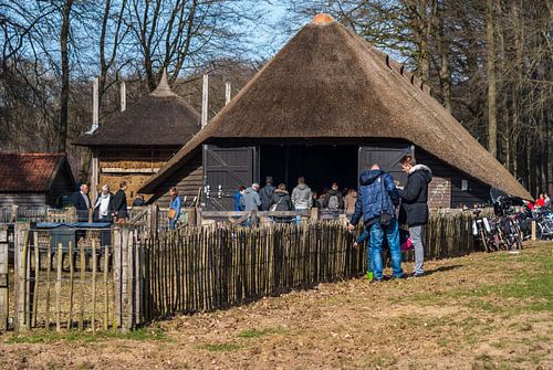 Schaapskooi Hoog Buurlo von Raymond Meerbeek