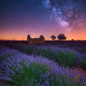 Provence