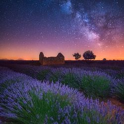 Provence