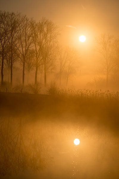 Brouillard entrant par un matin ensoleillé et glacial sur la Dendre. par Marcel Derweduwen