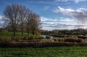 Fort Vijfhuizen - opgaan in de natuur von Mike Bing