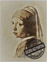 Vermeer Refurbished
