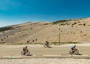 Mont Ventoux, the bare gravel summit with cyclists, Bedoin, France by Rene van der Meer thumbnail