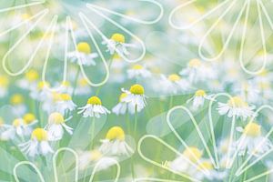 Bunter Frühling