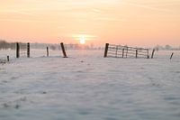 Winter zonsondergang op de Utrechtse Heuvelrug II