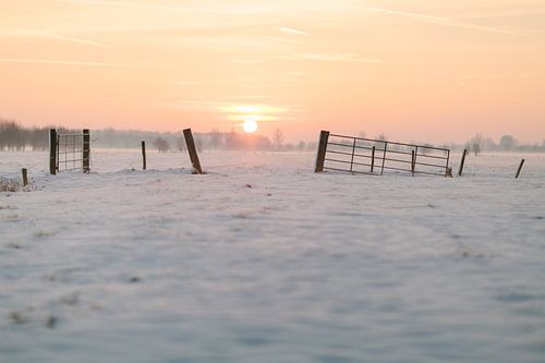 Winter Sunset on Utrechtse Heuvelrug II