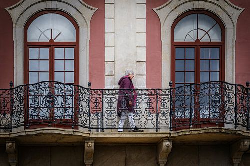 Gevel van het prachtig gerestaureerde Palacio de Estoi