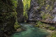 Prachtige natuur in Slovenië van Mart Houtman thumbnail
