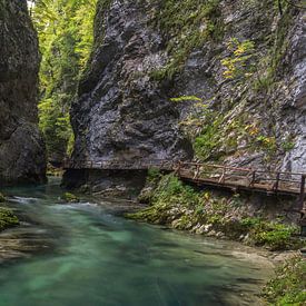 Schöne Natur in Slowenien von Mart Houtman