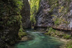 Schöne Natur in Slowenien von Mart Houtman