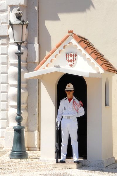 Paleiswacht Monaco van Michel Groen