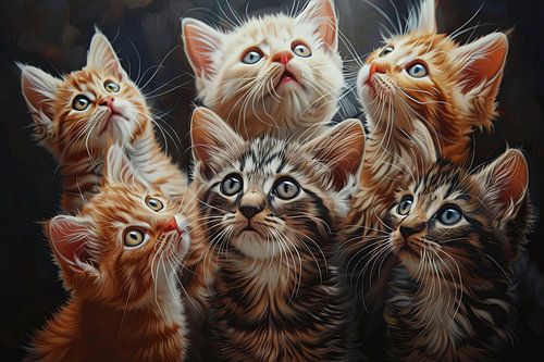 katten in en rondom het huis