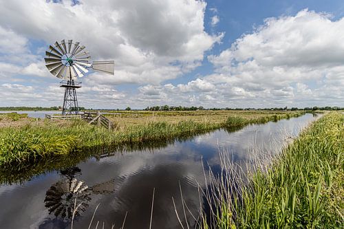 Alde Geau forms a mirror for its surroundings