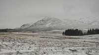 Berge in der Nähe von Laggan von Paulien van der Werf Miniaturansicht