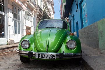 Cuba, cuvée verte sur Tom Hengst