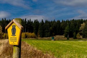 Herbstwanderung durch den Thüringer Wald