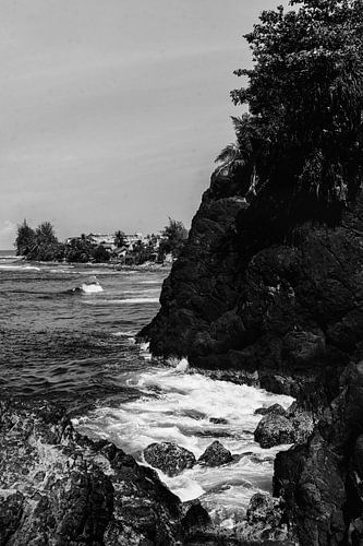 Indonesian Gulf Coast