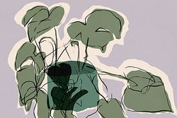 Plant Still Life