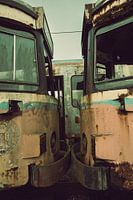 Connected in Stillness: The Dialogue of Abandoned Trams