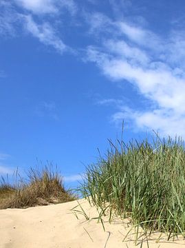 dunes von Ostsee Bilder