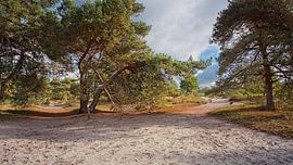 Brunssummerheide