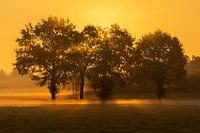 zonsopgang