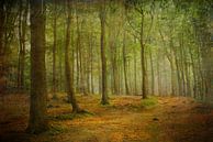 Herbstwald im Licht von Heike Hultsch Miniaturansicht