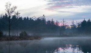 Het Zwanenmeer van WILBERT HEIJKOOP photography