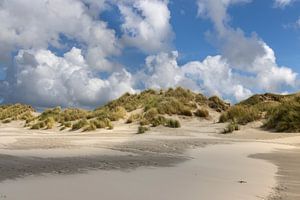Strand und Dünen auf Terschelling bei bewölktem Himmel