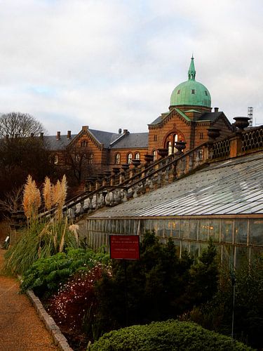 Contrasten in de botanische tuin