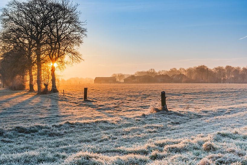 Leusden van Gerard Glavimans