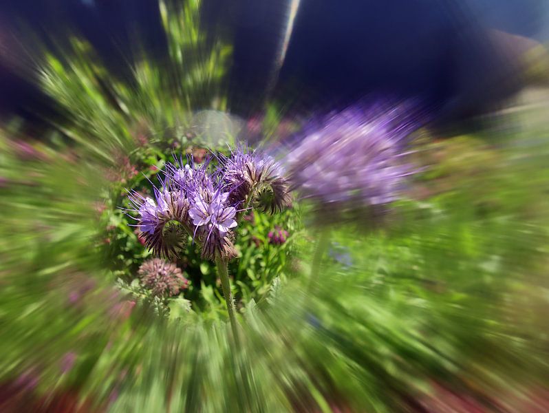 Explosion naturelle 7 par Edgar Schermaul