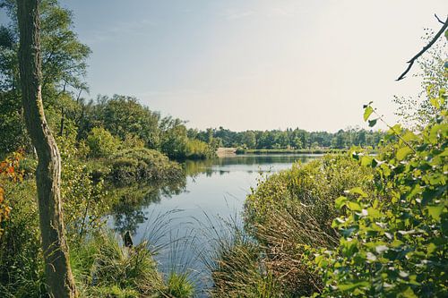 Uitkijk op het water