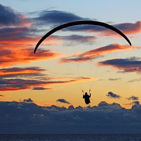 Paraglider by sunset sur Yvonne Steenbergen