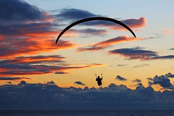 Paraglider by sunset van Yvonne Steenbergen