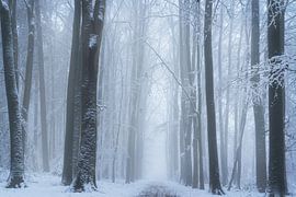 Charmante palette d'automne