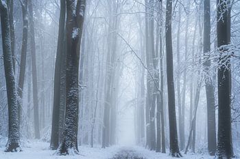 Charmante Herbst-Palette