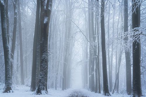 Charmant herfstpalet