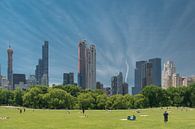 Central Park, New York van Tim Groeneveld thumbnail