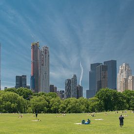 View from Central Park, New York by Tim Groeneveld