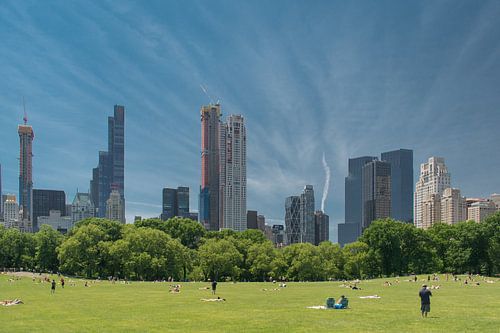 Central Park, New York van Tim Groeneveld